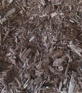 Ecorce pygeum africanum en vrac